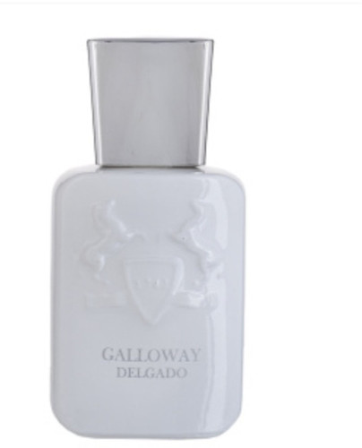 عطر جیبی مردانه گالووی