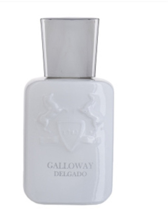 عطر جیبی مردانه گالووی